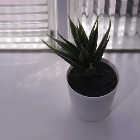 Haus Aissa Apartmán *